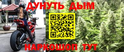 PSILOCYBIN Бугуруслан