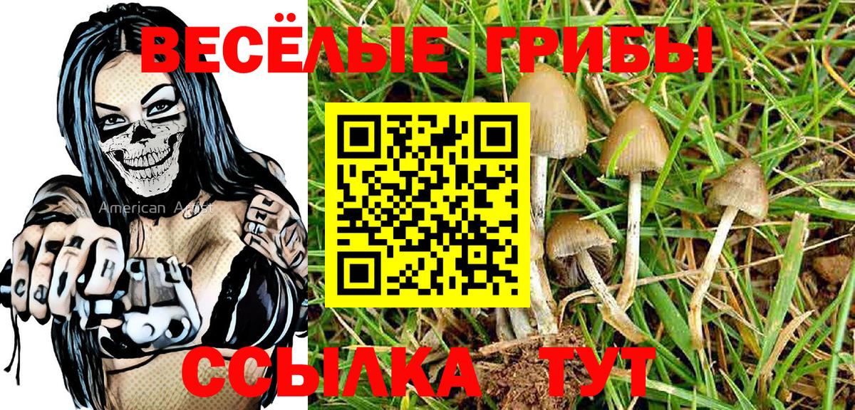Псилоцибиновые грибы GOLDEN TEACHER Мелеуз