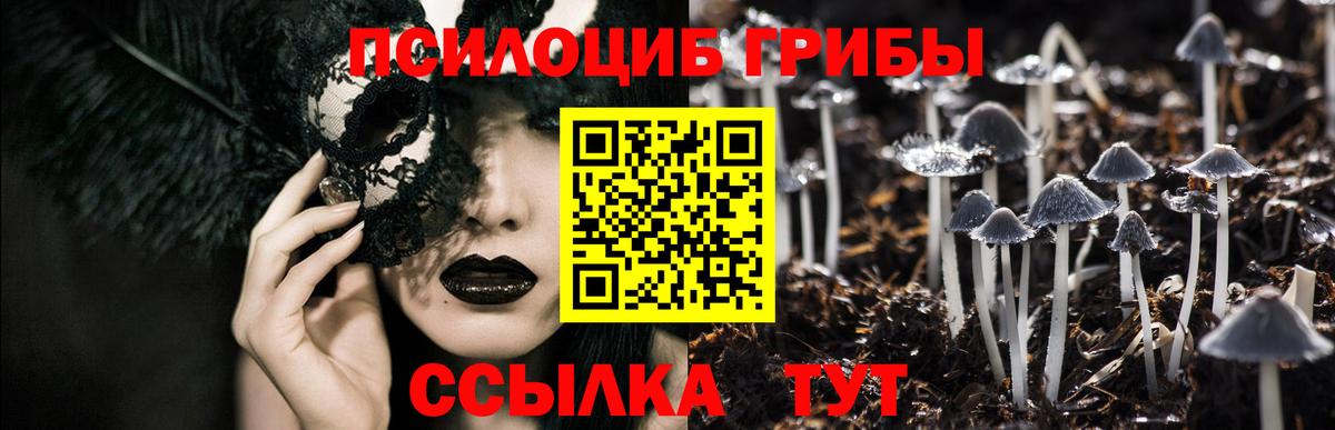 наркота  Галлюциногенные грибы мицелий  Вход с VPN  Мелеуз 